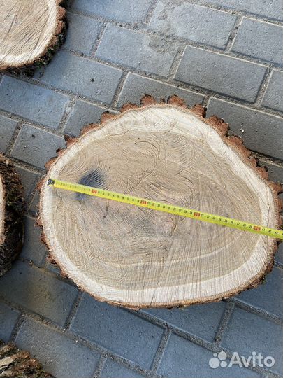 Спил дуба вяз ясень слэб