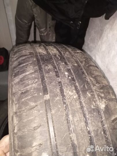 Pirelli Formula Energy 195/55 R15