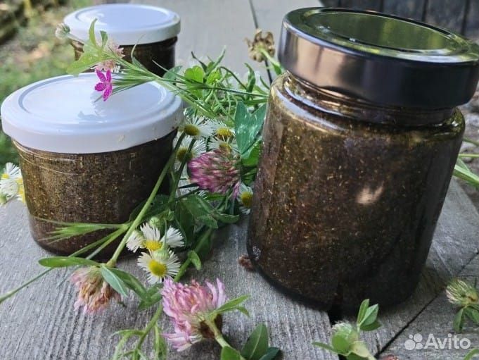 Медогон паразитарный