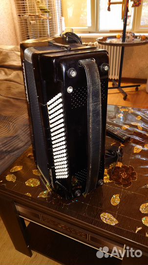 Royal Standard Montafana