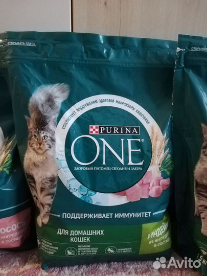 Корм для кошек и собак