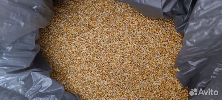 Пыльца пчелиная(обножка) 2023