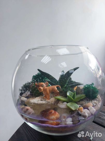 Флорариум с живыми цветами 