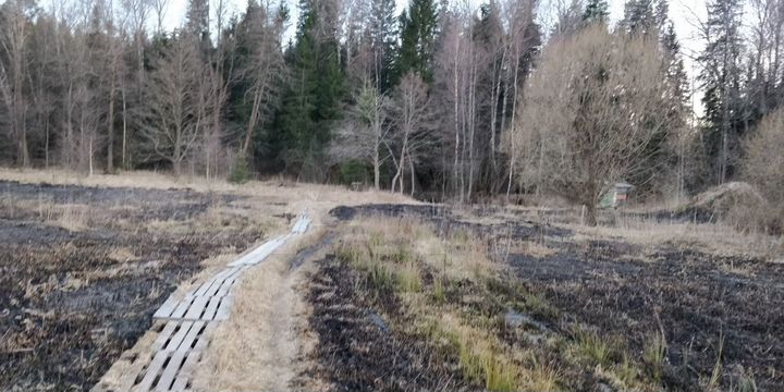 Участок 9 сот. (ИЖС)