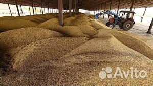 Зерно оптом