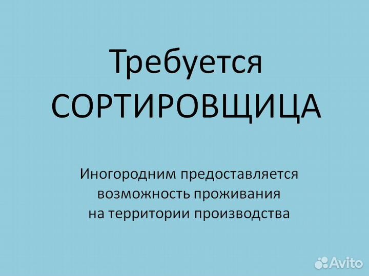 Сортировщики (график 2/2)