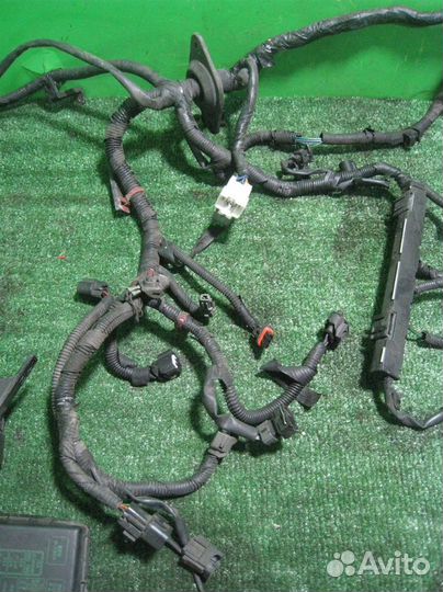Жгут проводки двигателя Hyundai Accent (LC) 2000