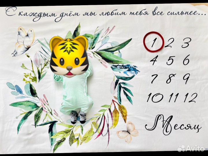 Фотоплед по месяцам