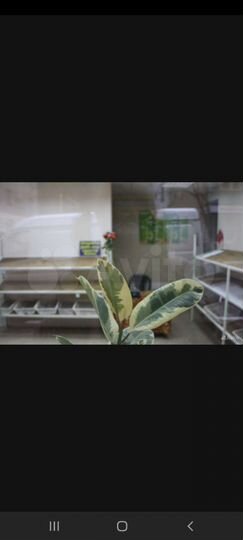 Торговая площадь, 40 м²