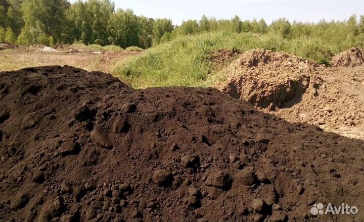 Чернозем плодородный