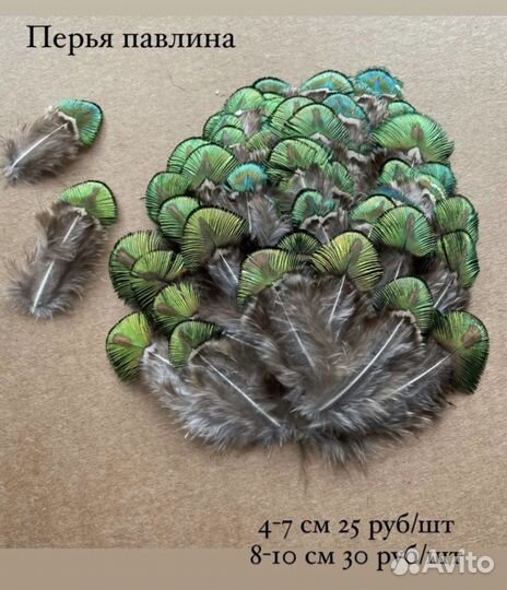 Перья павлина для творчества (разные)