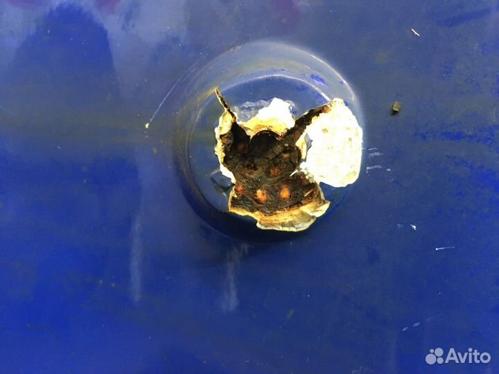 Спойлер кабины правый Man TGA, Man TGS, Man TGX