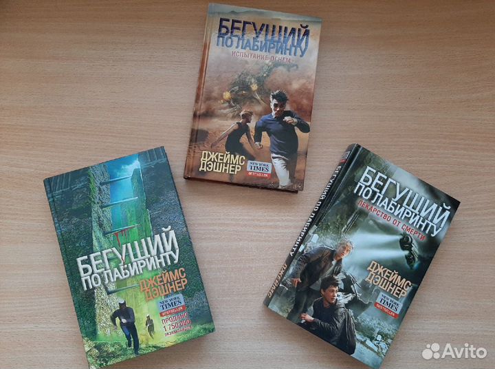 Бегущий в лабиринте