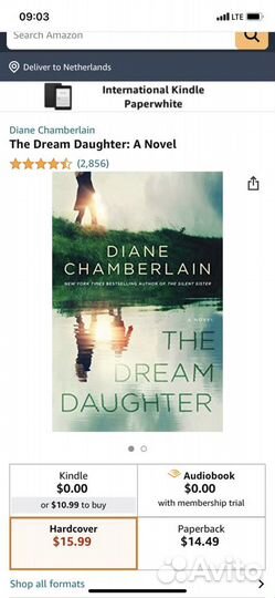Diane Chamberlain The dream daughter на англ