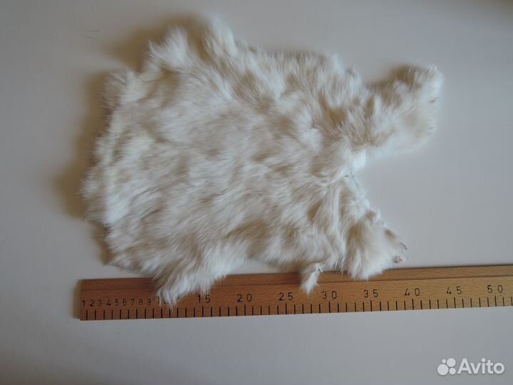 Шкурки кролика