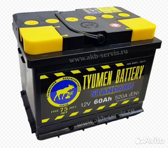 Tyumen Battery Лидер 6мтс 9