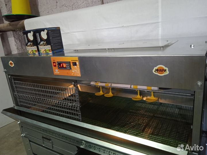 Брудер для цыплят, индюшат, утят, гусят, перепелят