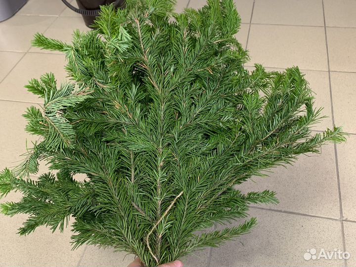 Веники Пихтовые для бани