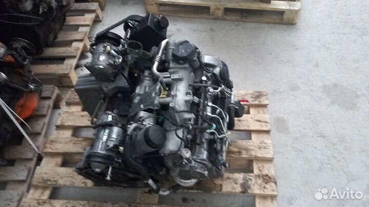 Контрактный двигатель D20DT на SsangYong Actyon