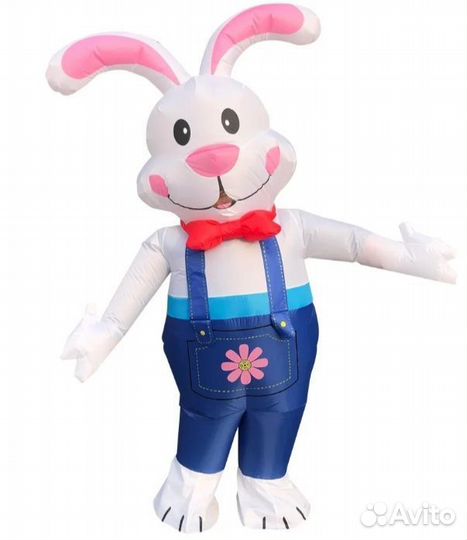 Прокат надувного костюма 