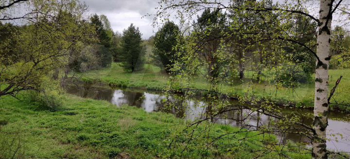 Участок 20,5 сот. (СНТ, ДНП)