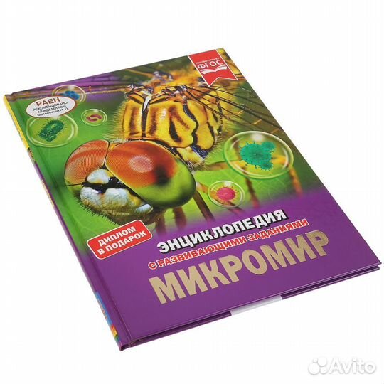 Микромир Седова Н.В