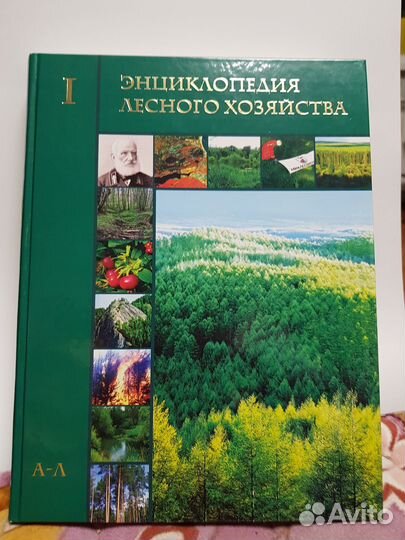 Энциклопедия лесного хозяйства в 2-х томах