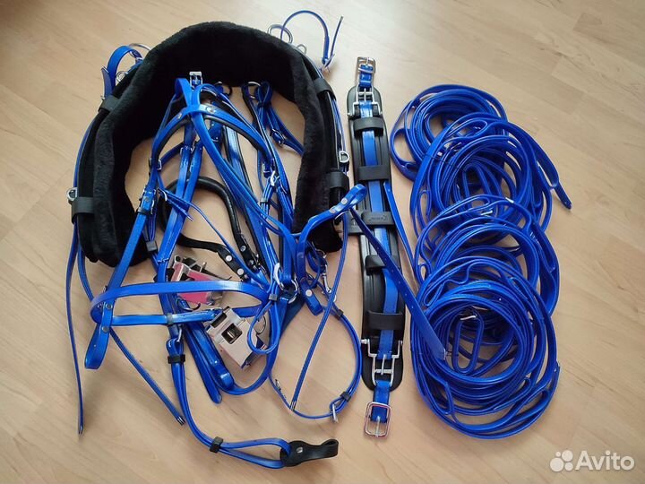 Сбруя для лошади на хичах