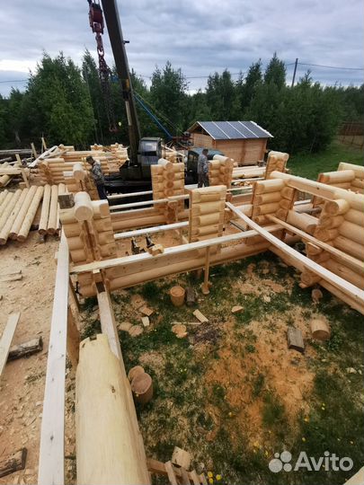 Срубы домов и бань