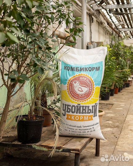 Убойный корм для цыплят