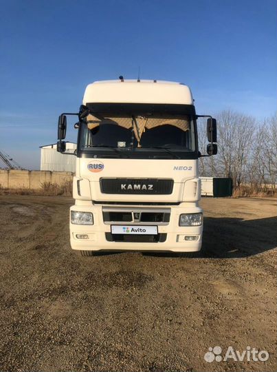 КамАЗ 5490 NEO 2, 2022