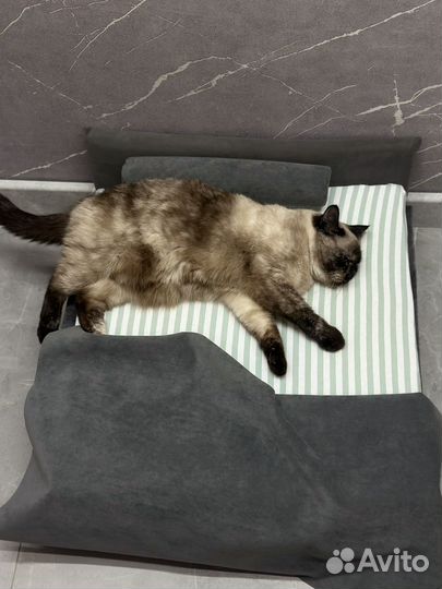 Кровать лежанка для животных / кошки