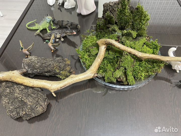 Кора деревьев