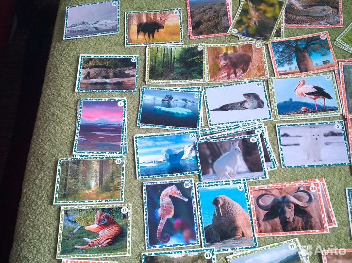 Наклейки Живая Планета (пуд)