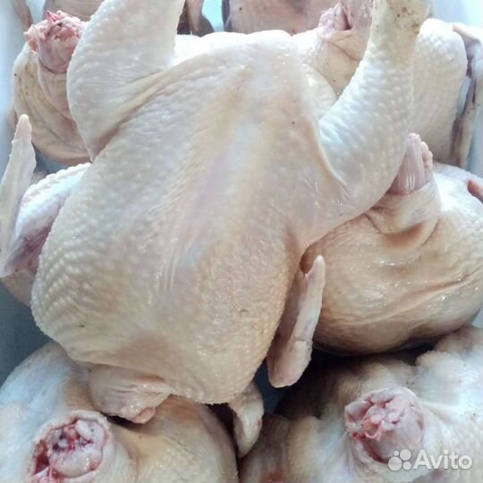 Мясо домашнего бройлера