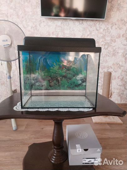 Аквариум