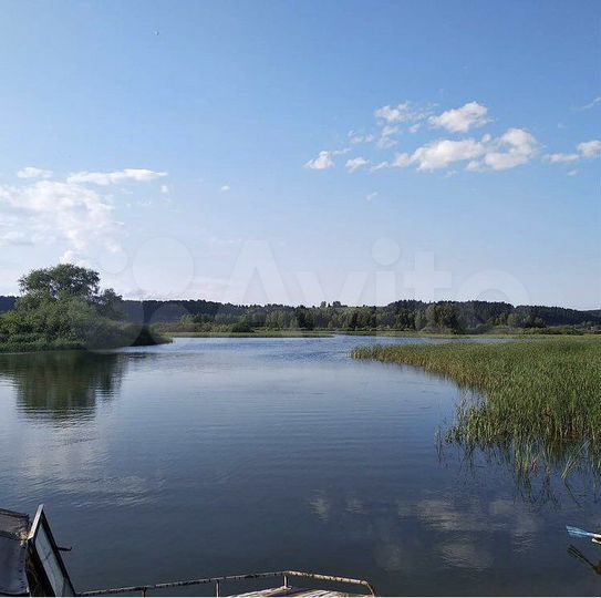 Участок 50 сот. (ИЖС)