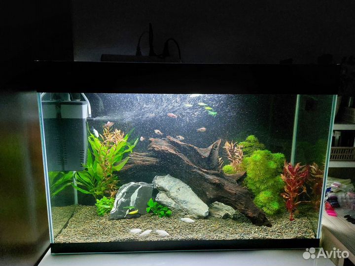 Продам корягу для аквариума