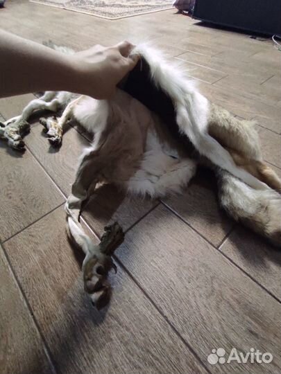 Шкура волка