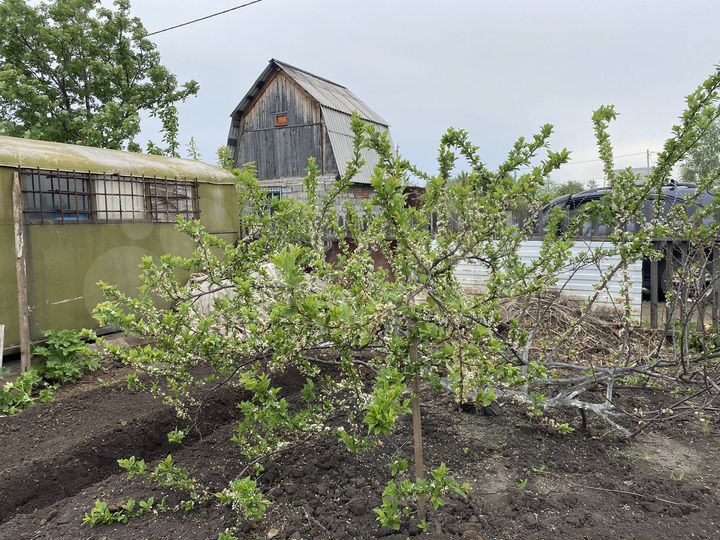 Дача 10 м² на участке 6 сот.