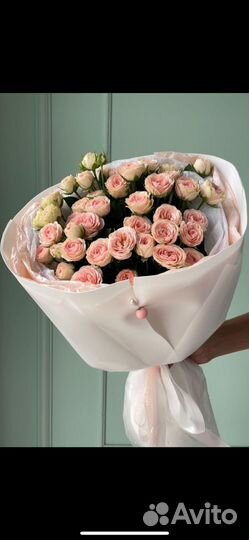 Кустовые розы