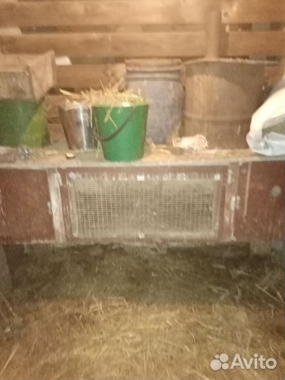Клетка для кролика