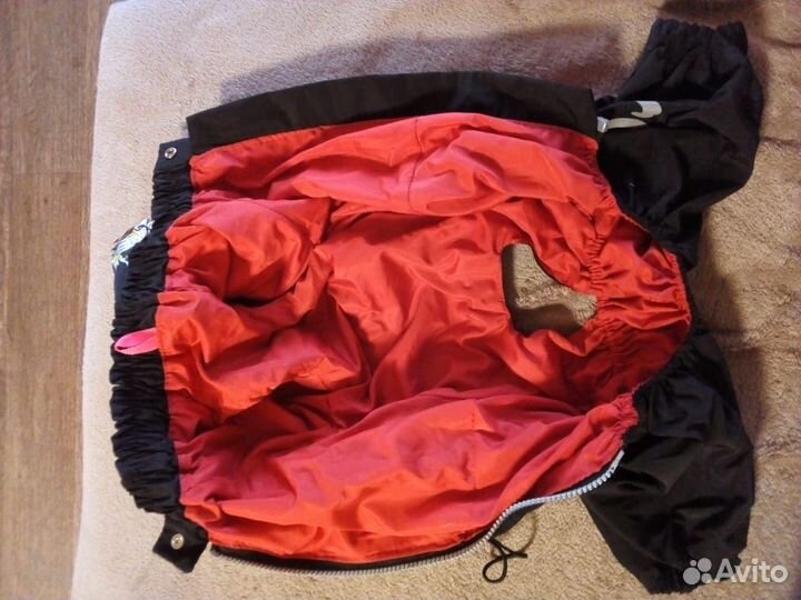 Костюм для собаки