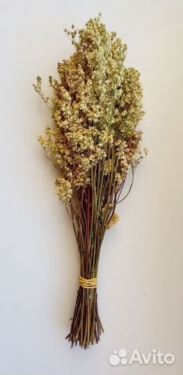 Травы в пучках Зверобой Душыца Полынь Железница