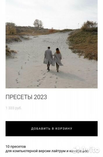 Пресеты 2023 (Карпешова)