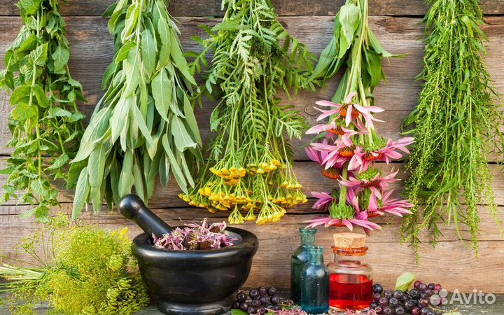 Антигрибковый препарат на травной основе