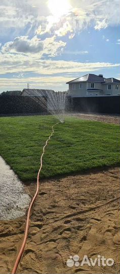 Газон от производителя