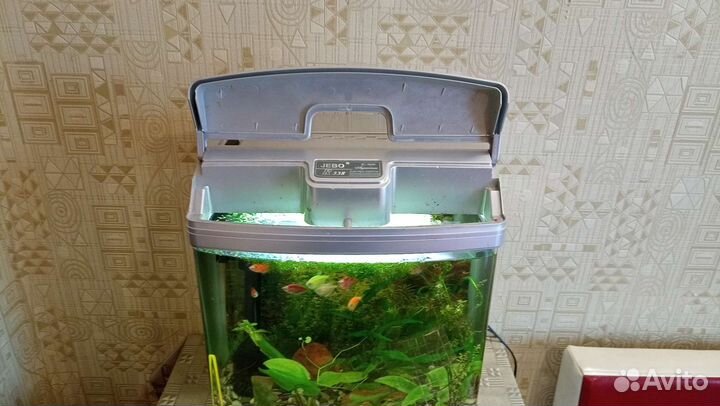 Аквариум