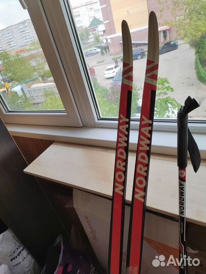 Беговые лыжи