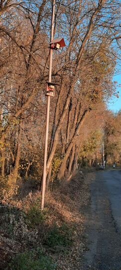 Участок 8 сот. (СНТ, ДНП)